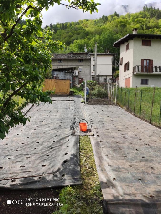 Ribunta Farm stay Caiolo