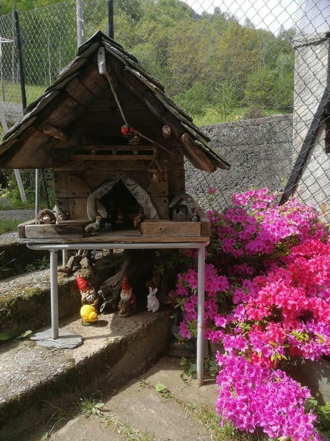 Farm stay Ribunta *